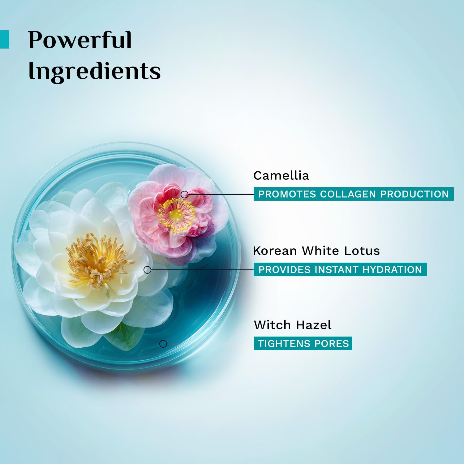 Pilgrim Korean Beauty White Lotus Refreshing Face Mist & Toner - Image 3